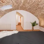 Medieval Cave Experience Apartment